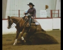 reining-picture-mahala